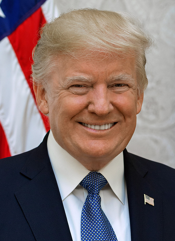 Portrait of President Donald Trump