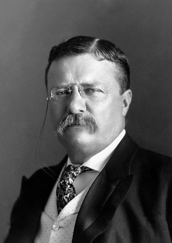 Portrait of President Theodore Roosevelt